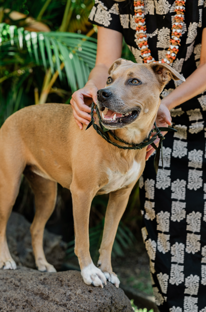 Ti Leaf Lei - Single Strand